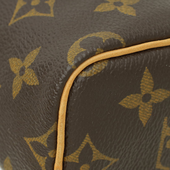 Louis Vuitton Brown Monogram Nano Speedy Bag