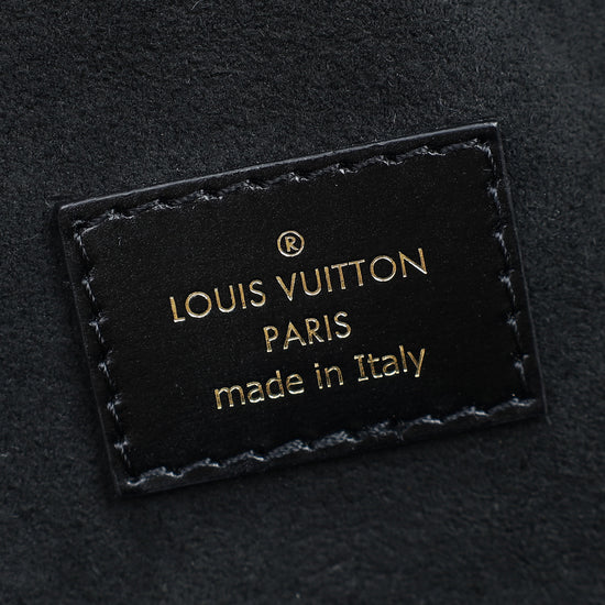 Louis Vuitton Monogram Reverse Vanity PM Bag