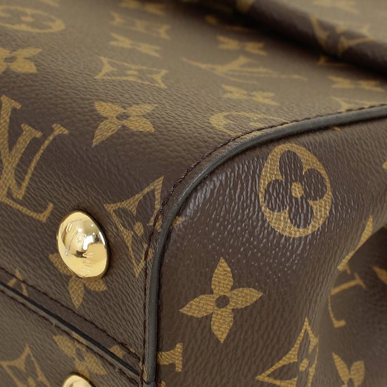Louis Vuitton Brown Monogram Cluny MM Bag