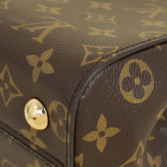 Louis Vuitton Brown Monogram Cluny MM Bag