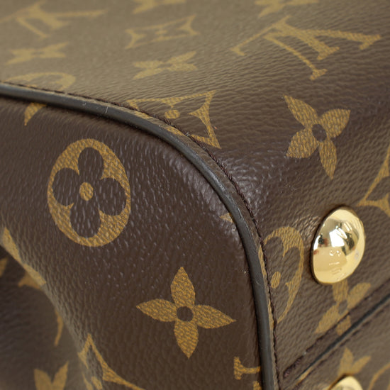 Louis Vuitton Brown Monogram Cluny MM Bag