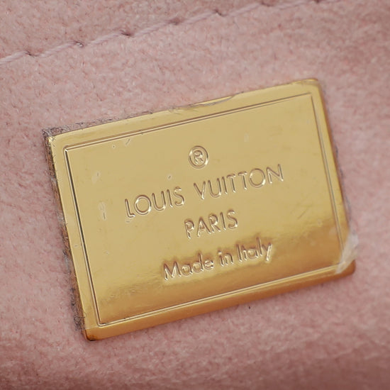 Louis Vuitton Tricolor Monogram Vernis Spring Street Bag