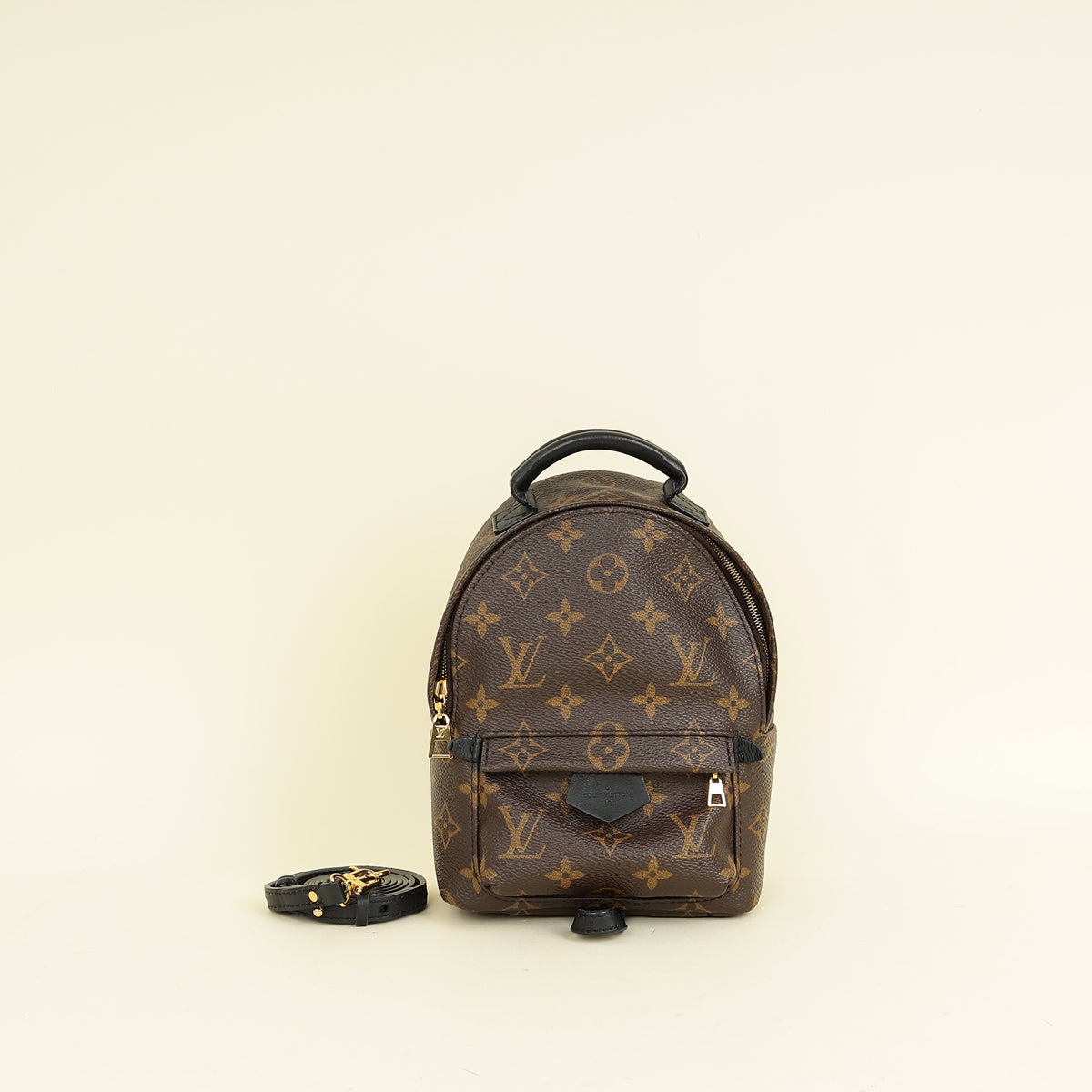 Louis Vuitton Monogram Black Palm Spring Mini Backpack Bag