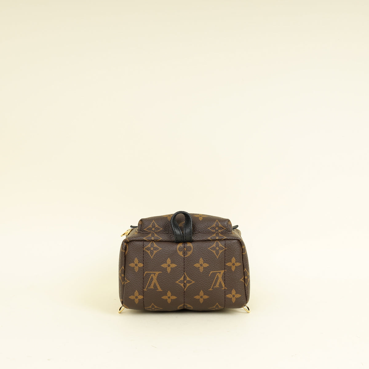 Louis Vuitton Monogram Black Palm Spring Mini Backpack Bag