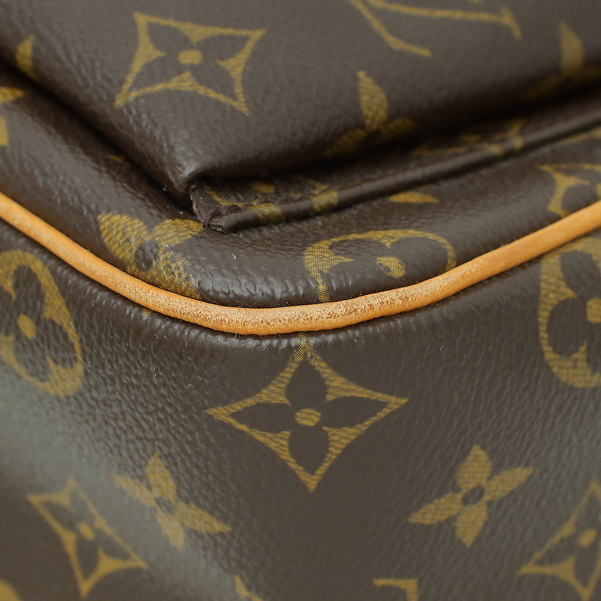 Louis Vuitton Monogram Viva Cite GM Bag
