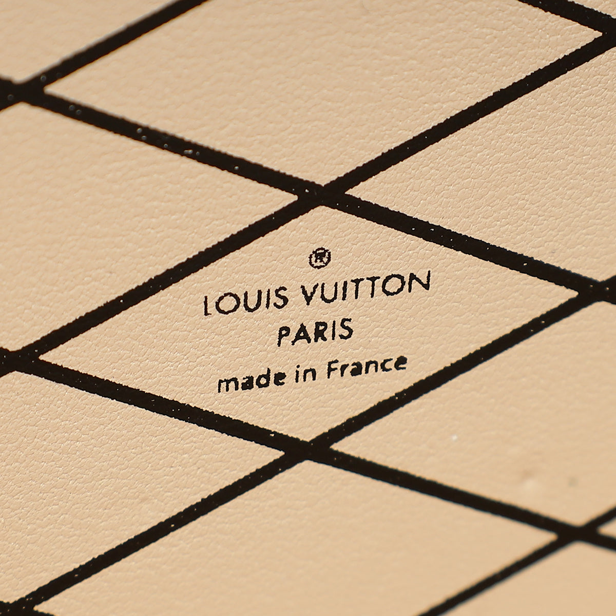 Louis Vuitton Bicolor Petite Malle Small Clutch-Louis Vuitton-THE CLOSET