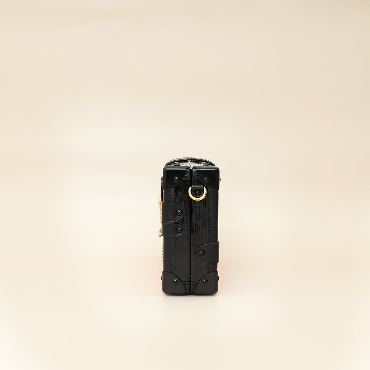 Louis Vuitton Bicolor Petite Malle Small Clutch-Louis Vuitton-THE CLOSET