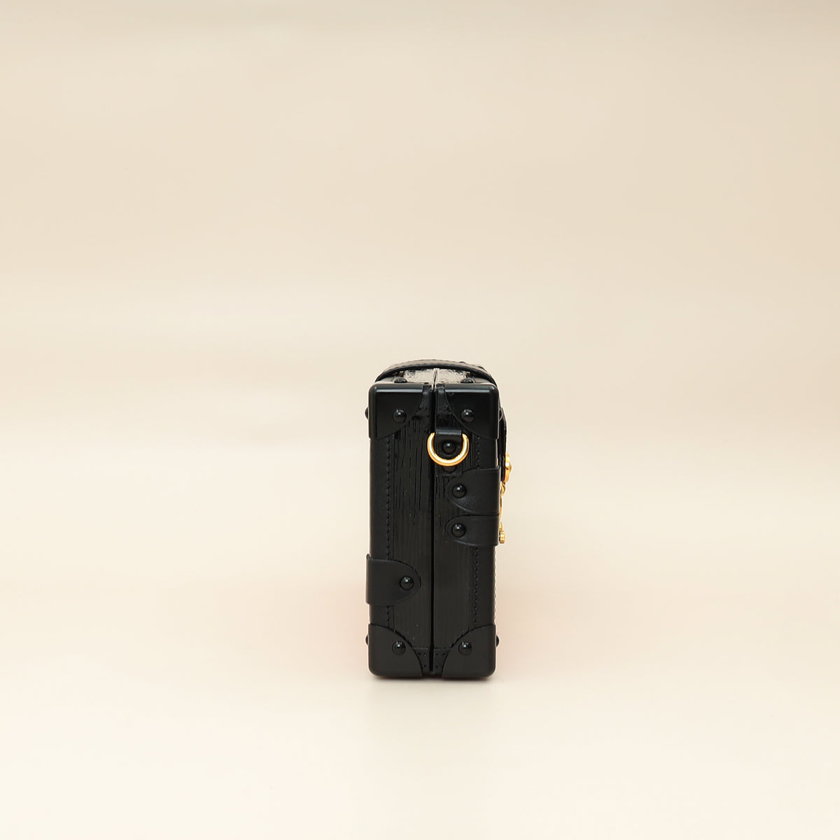 Louis Vuitton Bicolor Petite Malle Small Clutch-Louis Vuitton-THE CLOSET