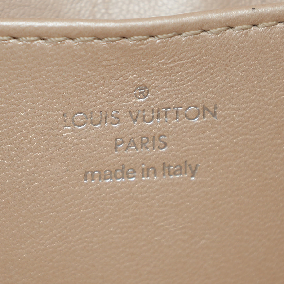 Louis Vuitton Go-14 metal icon PM bag – Toronto Lux Market