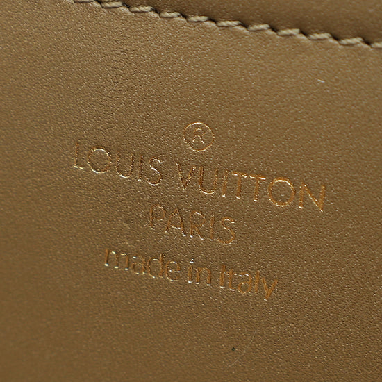 Louis Vuitton Monogram Utility Crossbody Bag