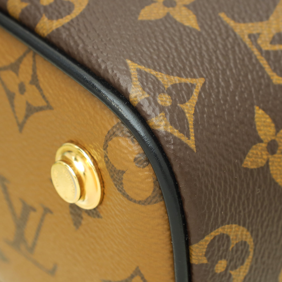 Louis Vuitton Bicolor Monogram Reverse Vanity PM Bag