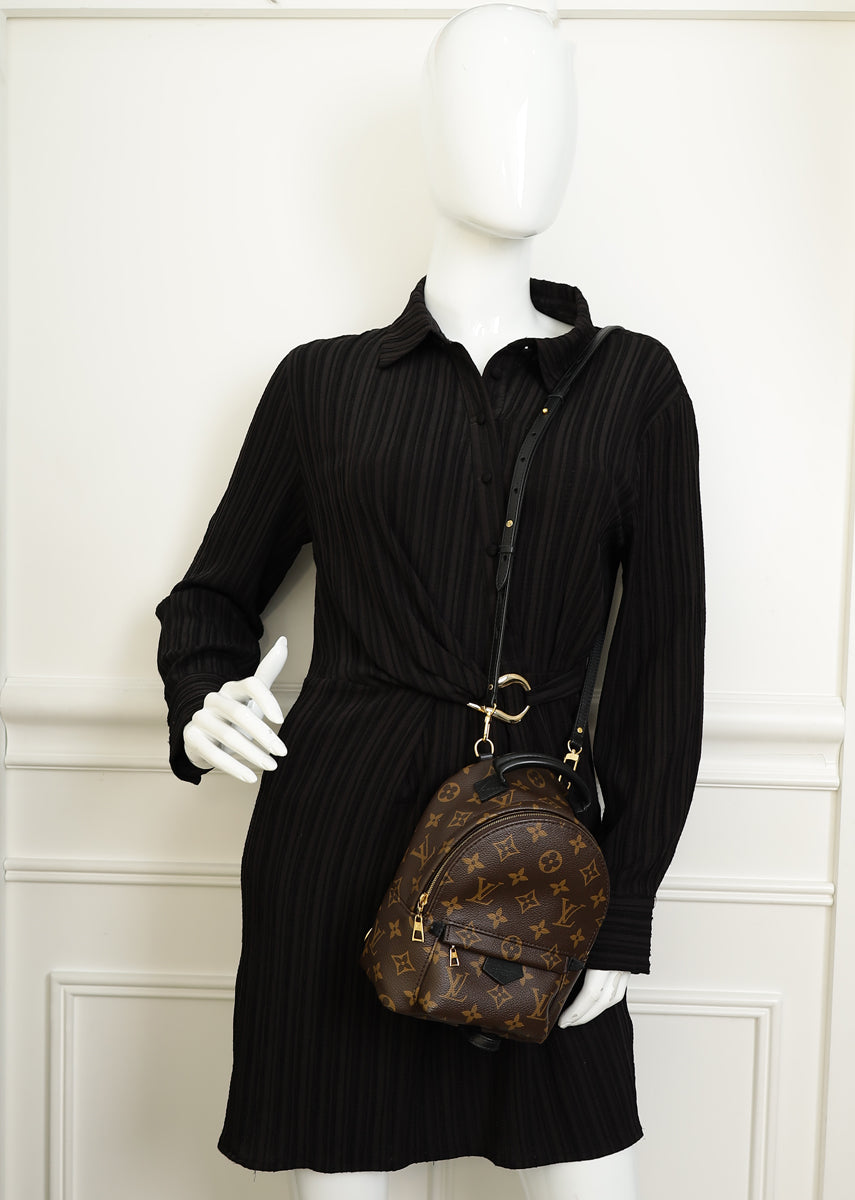 Louis Vuitton Bicolor Palm Springs Mini Backpack Bag