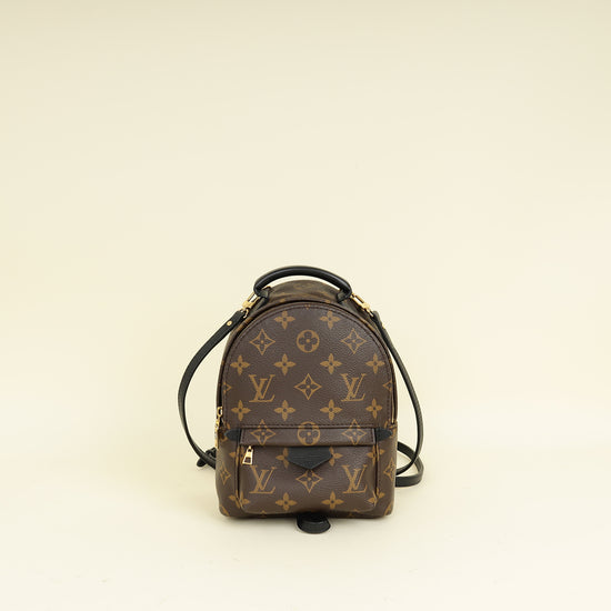 Louis Vuitton Bicolor Palm Springs Mini Backpack Bag