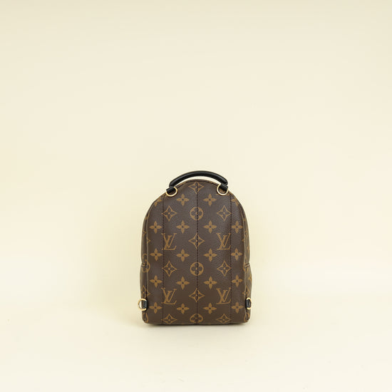 Louis Vuitton Bicolor Palm Springs Mini Backpack Bag