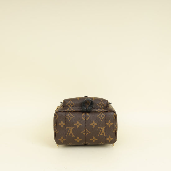 Louis Vuitton Bicolor Palm Springs Mini Backpack Bag