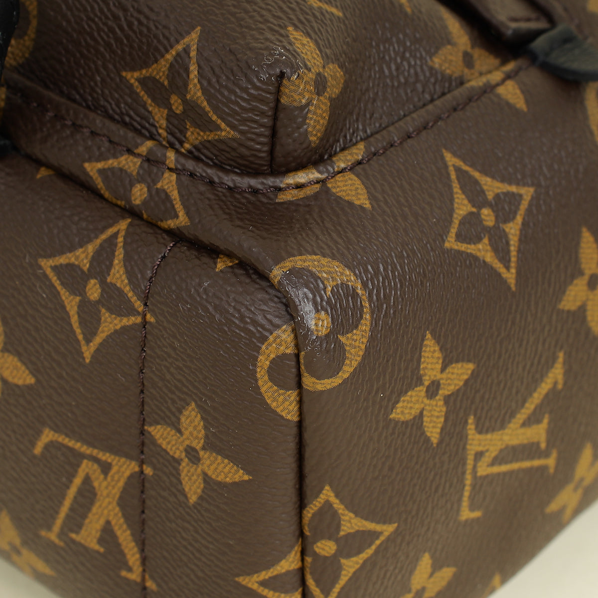 Louis Vuitton Bicolor Palm Springs Mini Backpack Bag