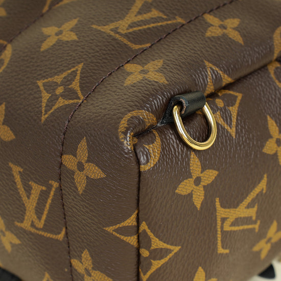 Louis Vuitton Bicolor Palm Springs Mini Backpack Bag