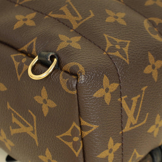 Louis Vuitton Bicolor Palm Springs Mini Backpack Bag