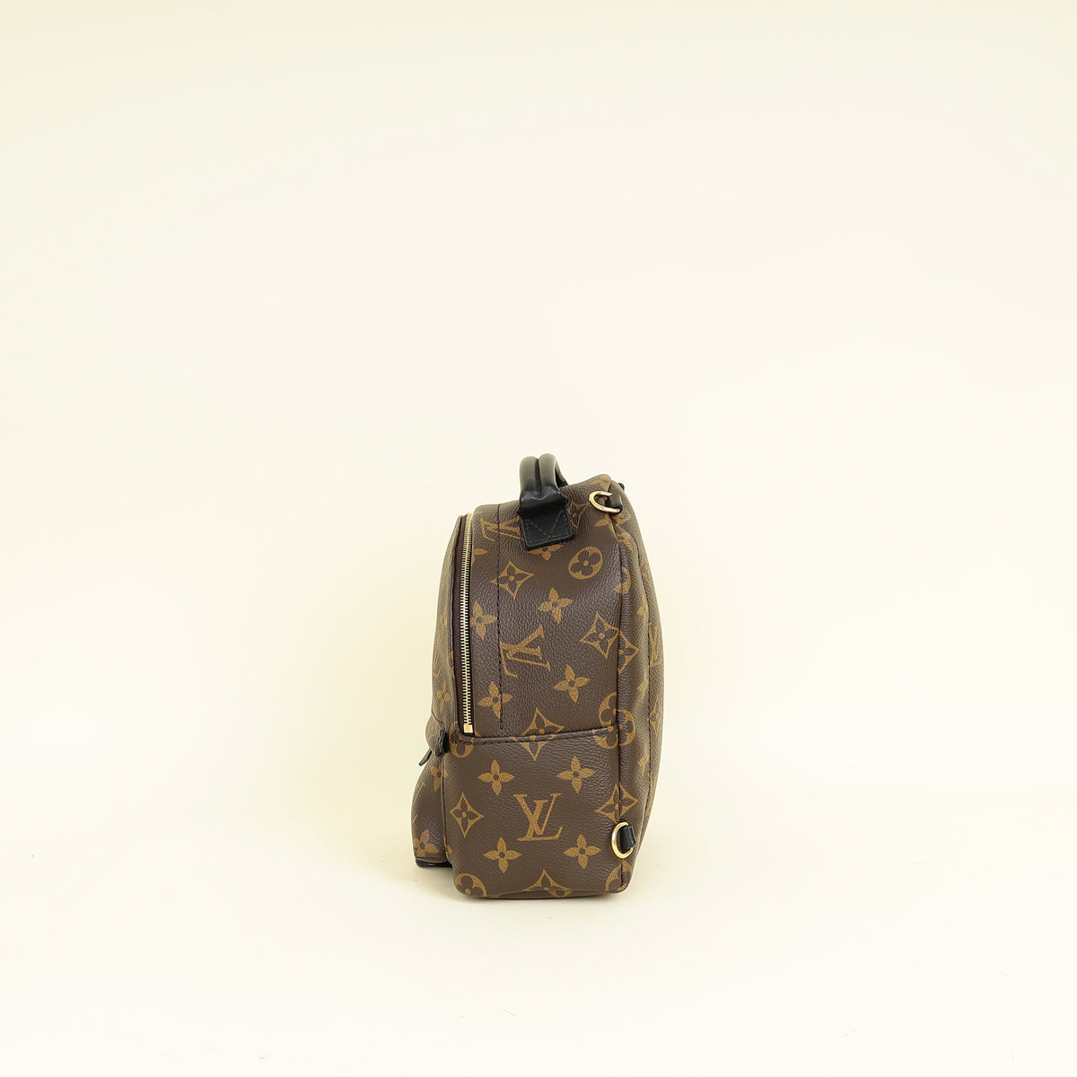 Louis Vuitton Bicolor Palm Springs Mini Backpack Bag