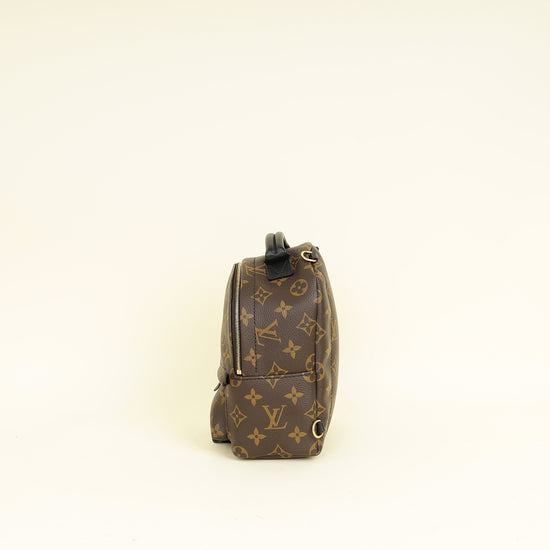 Louis Vuitton Bicolor Palm Springs Mini Backpack Bag
