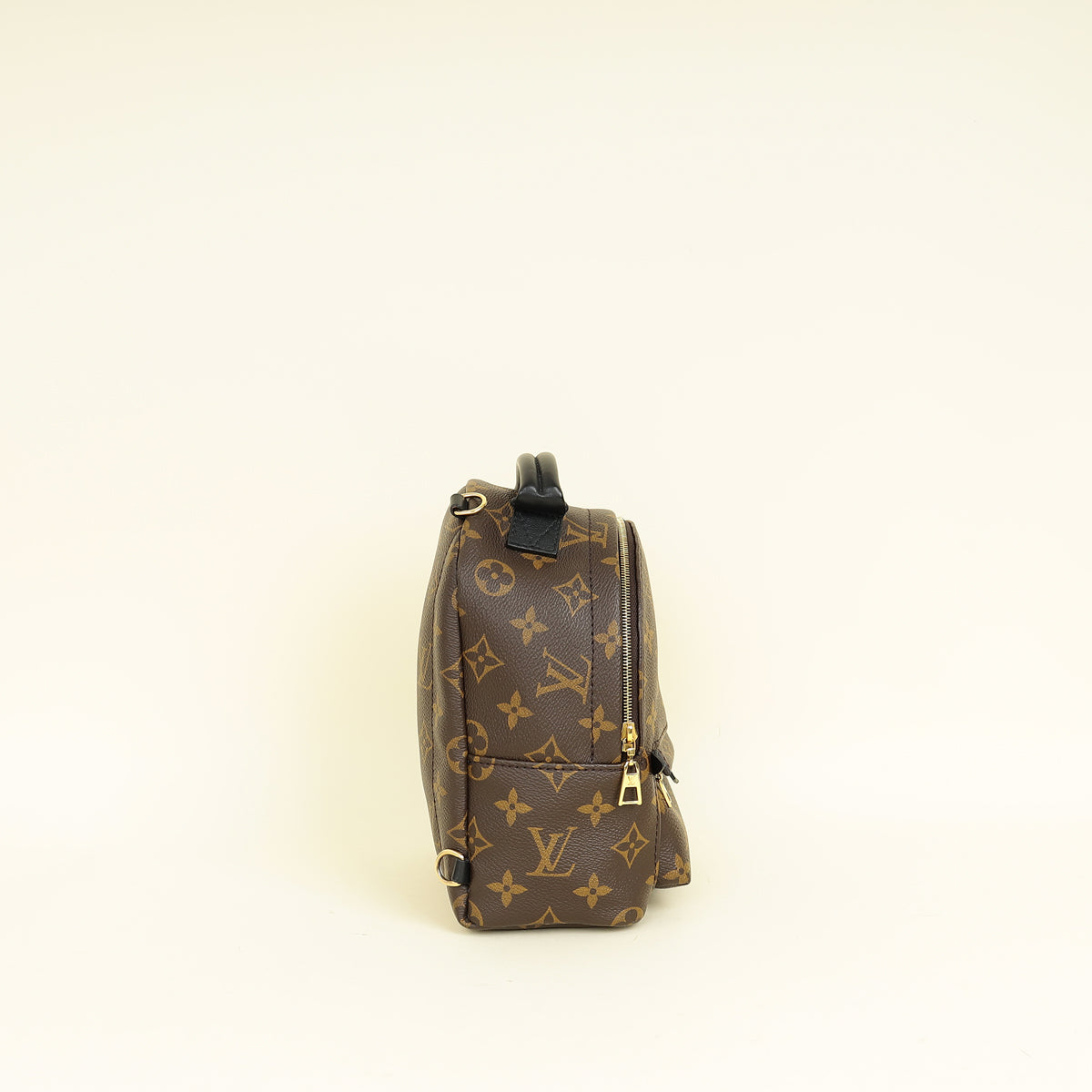 Louis Vuitton Bicolor Palm Springs Mini Backpack Bag