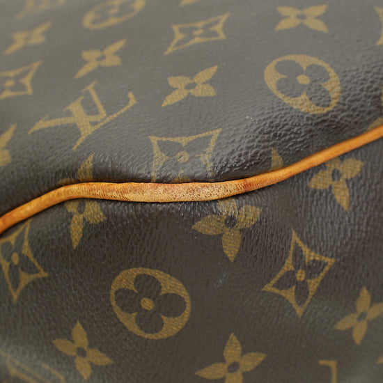 Louis Vuitton Monogram Ebene Delightful PM Bag