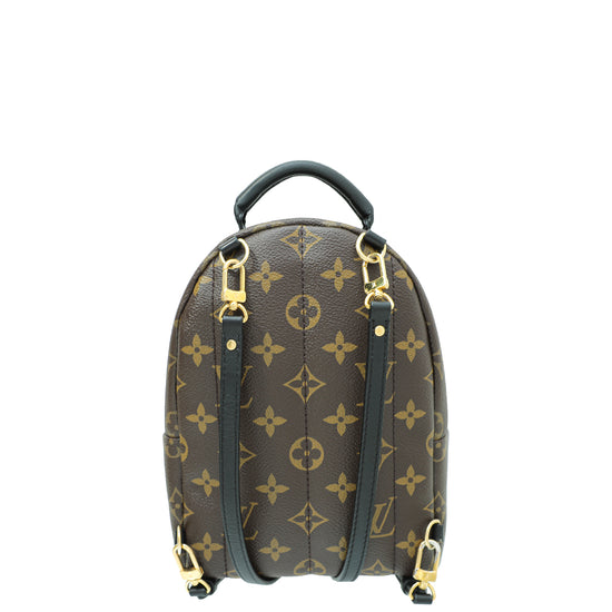 Louis Vuitton Bicolor Monogram Mini Palm Springs Backpack Bag