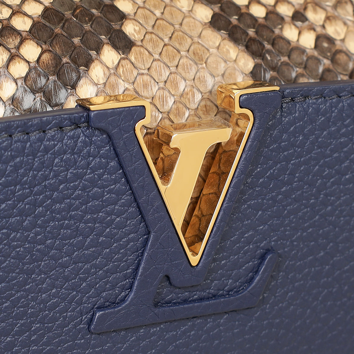 Louis Vuitton Blue Mini Capucine Python Details Bag