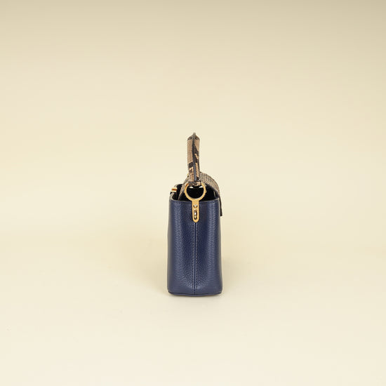 Louis Vuitton Blue Mini Capucine Python Details Bag