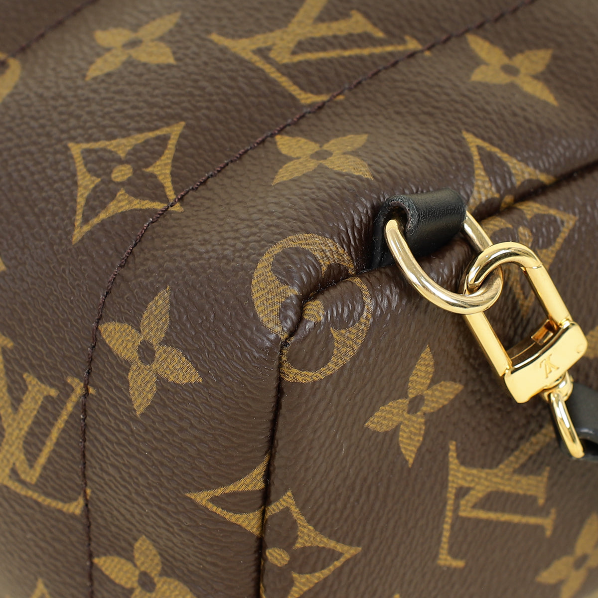 Louis Vuitton Monogram Black Palm Spring Mini Backpack Bag