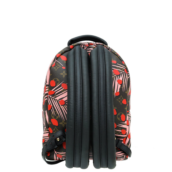 Louis Vuitton Monogram Jungle Dots Palm Spring PM Backpack Bag – The Closet
