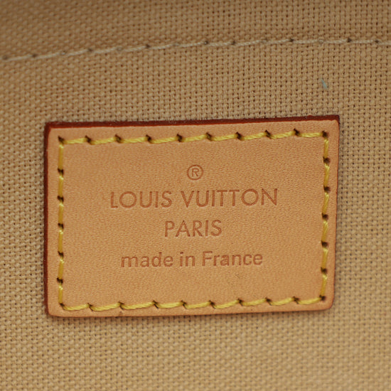 Louis Vuitton Damier Favorite MM Bag