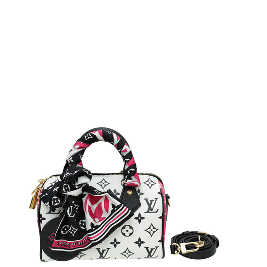 Louis Vuitton Tricolor Spring In The City Speedy 20 Bandouliere