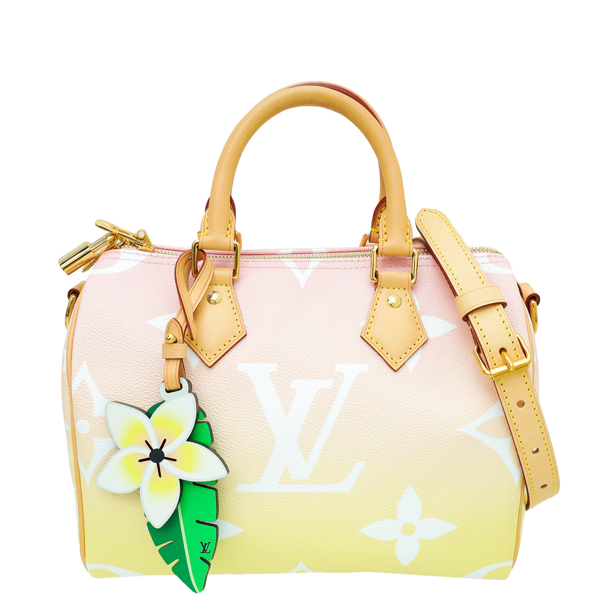 Louis Vuitton Bicolor By The Pool Speedy Bandouliere 25 Bag