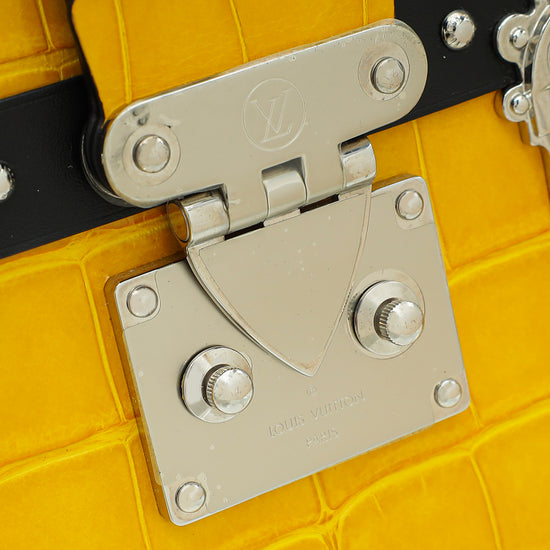 Load image into Gallery viewer, Louis Vuitton Bicolor Alligator Petite Malle Bag
