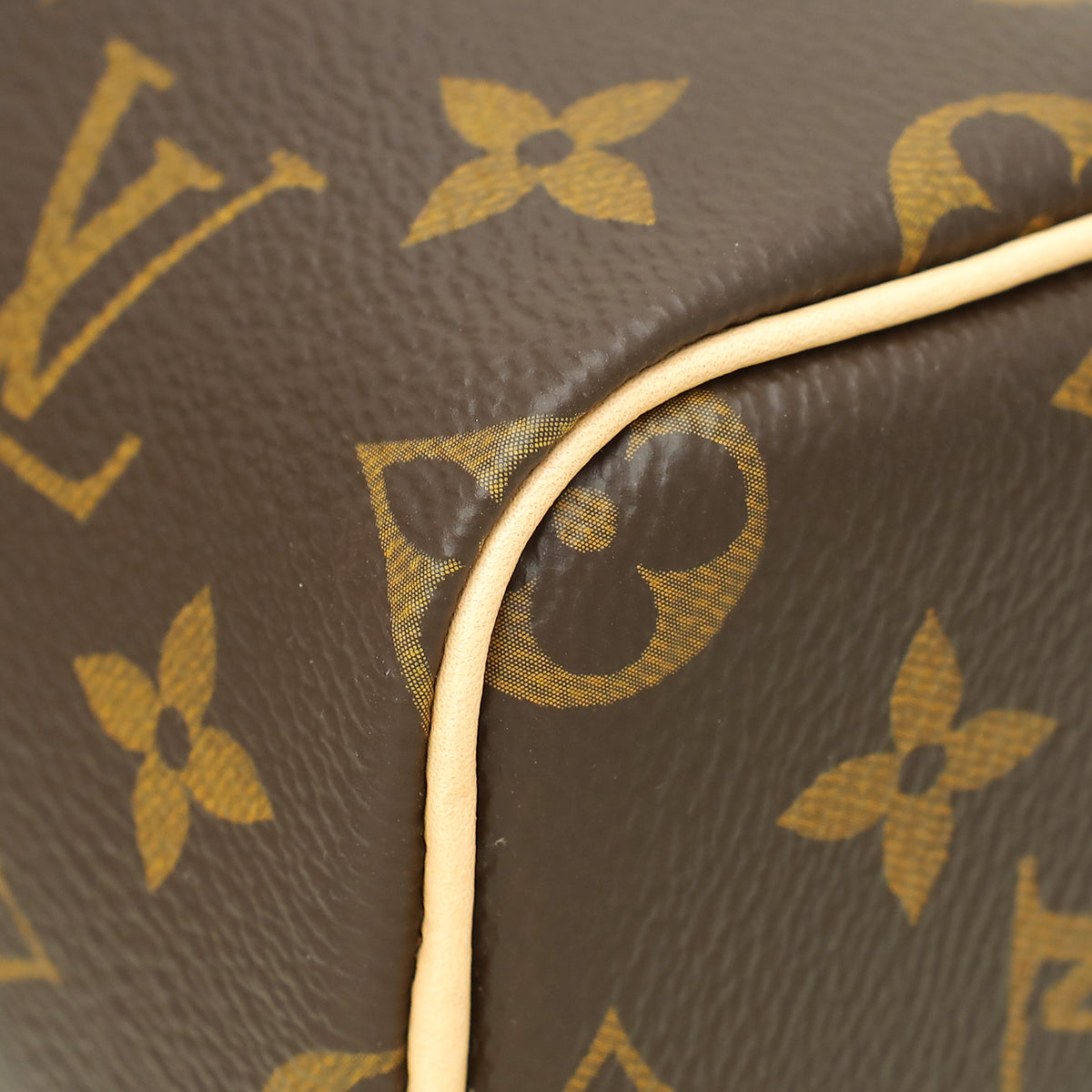 Louis Vuitton Monogram Nano Speedy Bag