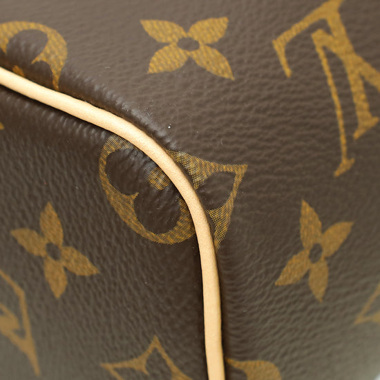 Louis Vuitton Monogram Nano Speedy Bag