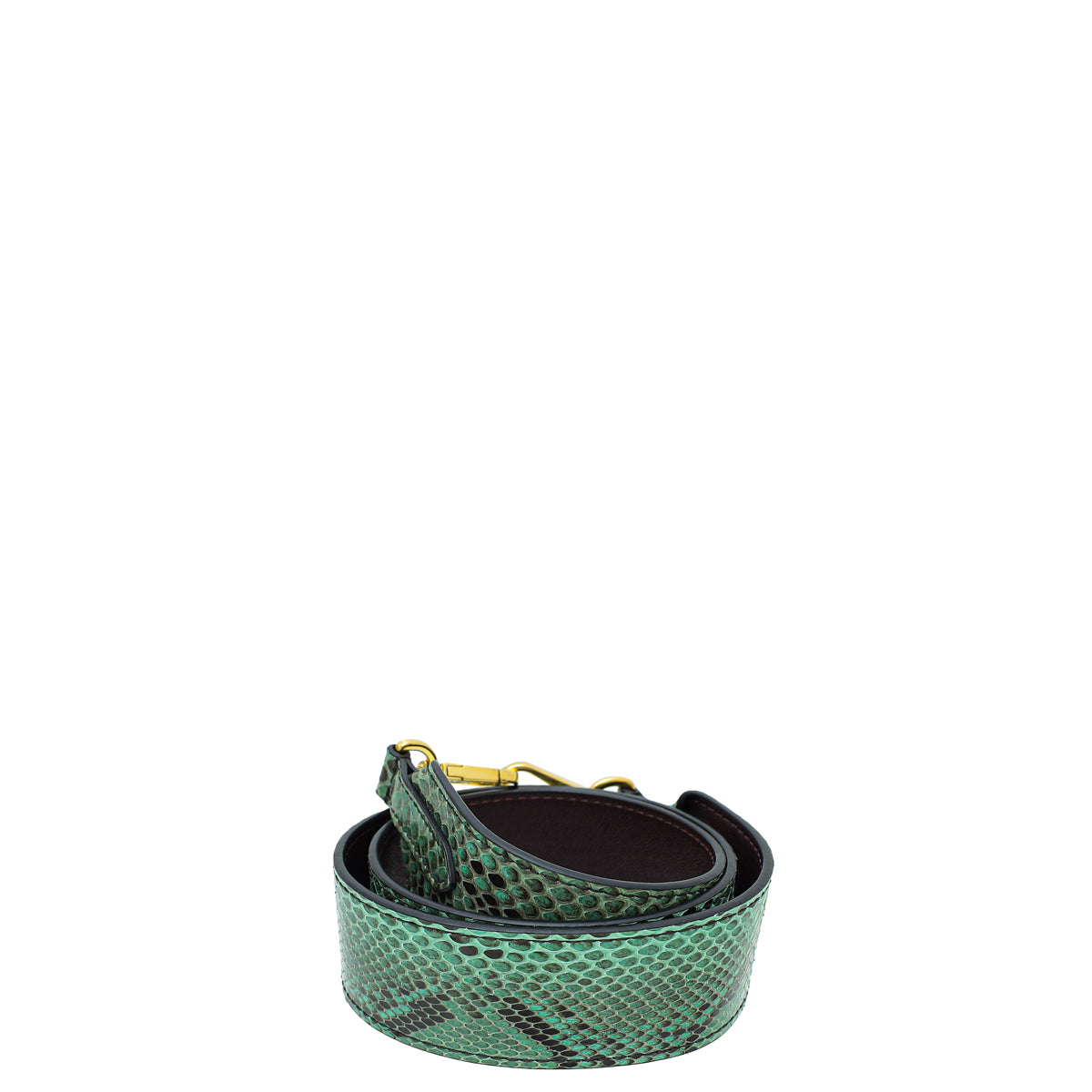 Louis Vuitton Bicolor Python Bandouliere Bag Strap-Louis Vuitton-THE CLOSET