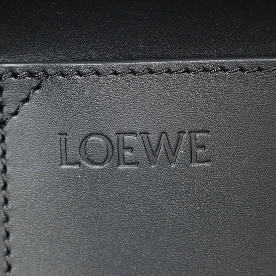 Loewe Bicolor Raffia Large LOEWE Font Tote Bag