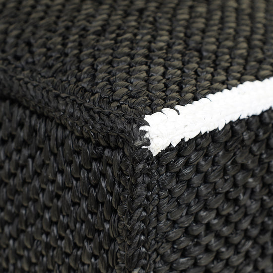 Loewe Bicolor Raffia Large LOEWE Font Tote Bag