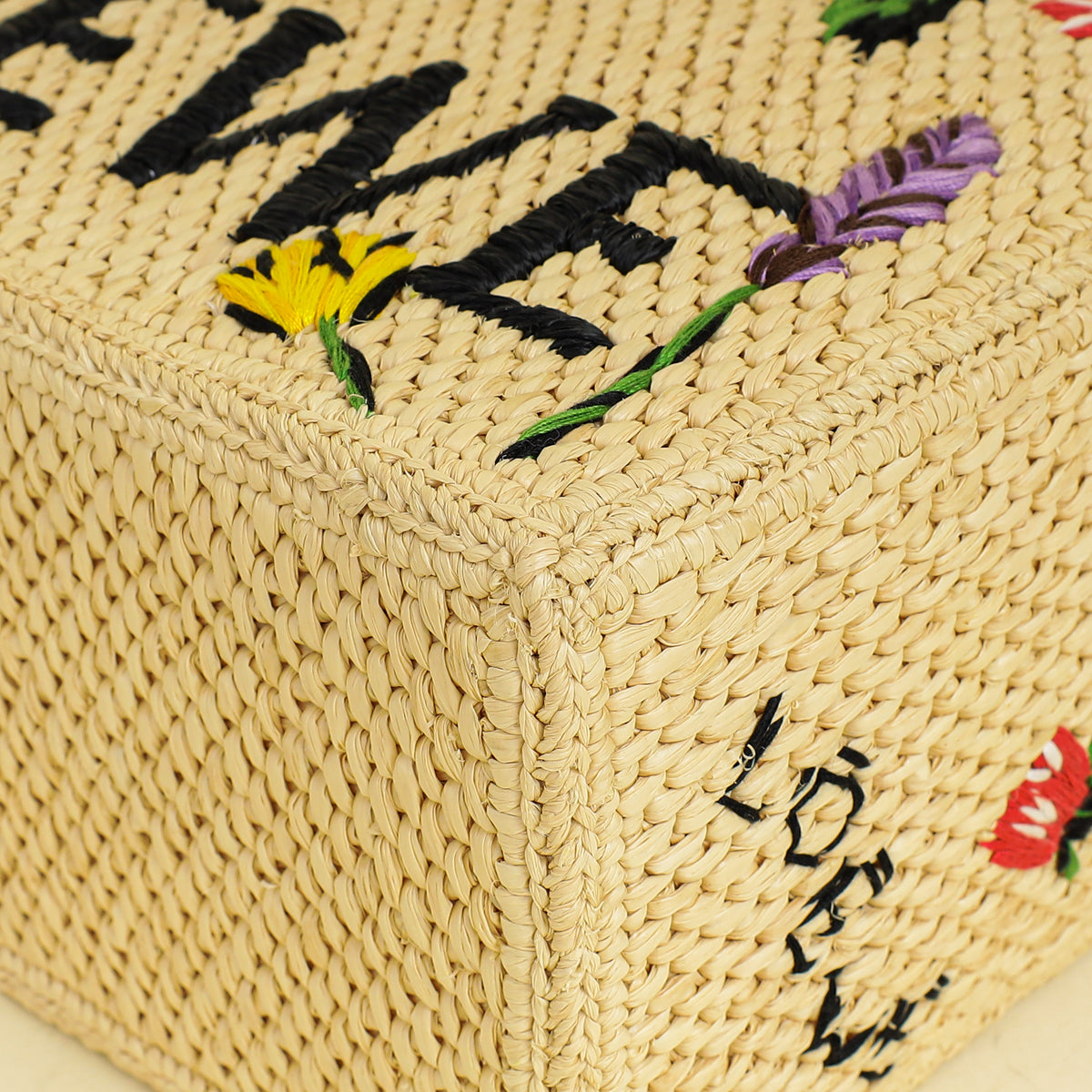 Loewe Bicolor x Paula's Ibiza Raffia Font Tote Small Bag