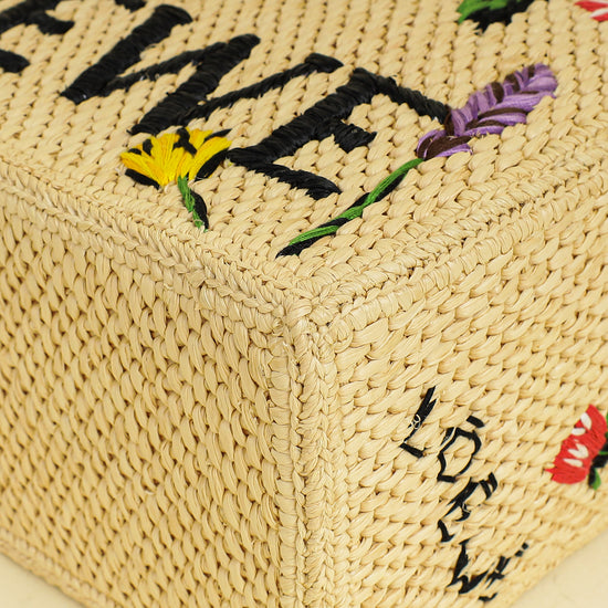 Loewe Bicolor x Paula's Ibiza Raffia Font Tote Small Bag