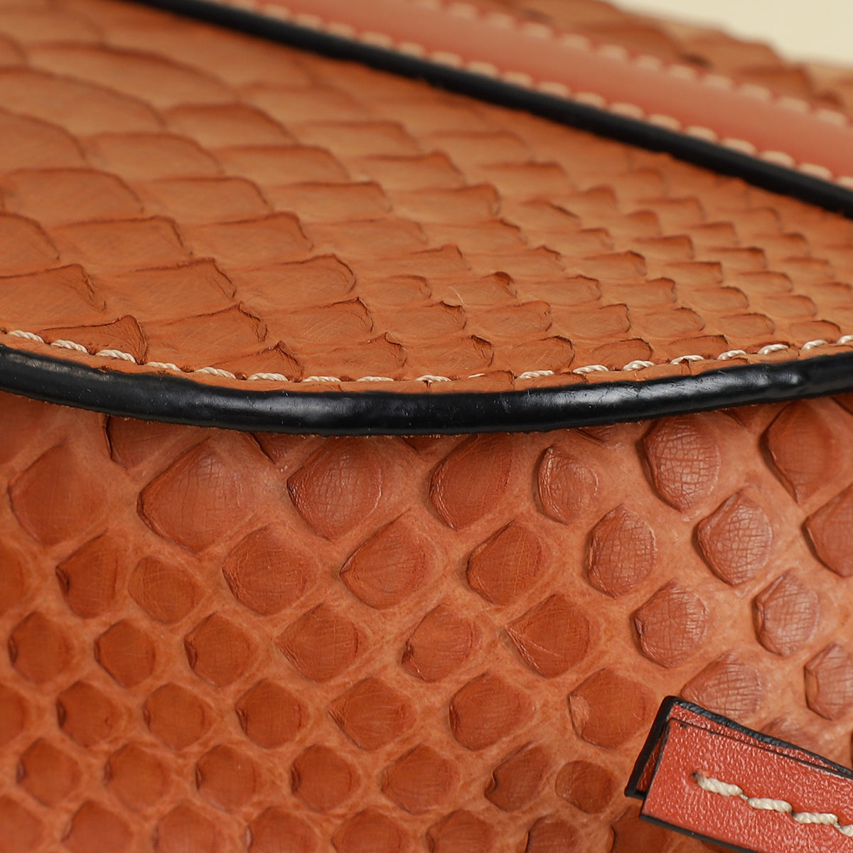 Loewe Brown Python Mini Gate Bag-Loewe-THE CLOSET