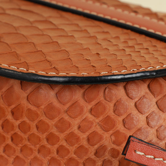 Loewe Brown Python Mini Gate Bag-Loewe-THE CLOSET