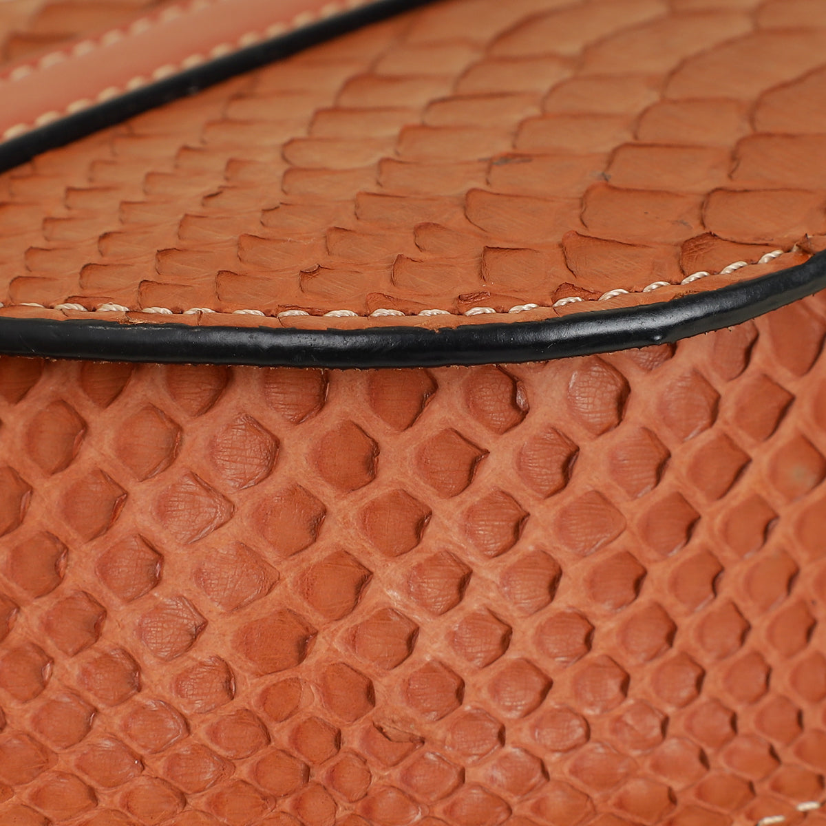 Loewe Brown Python Mini Gate Bag-Loewe-THE CLOSET