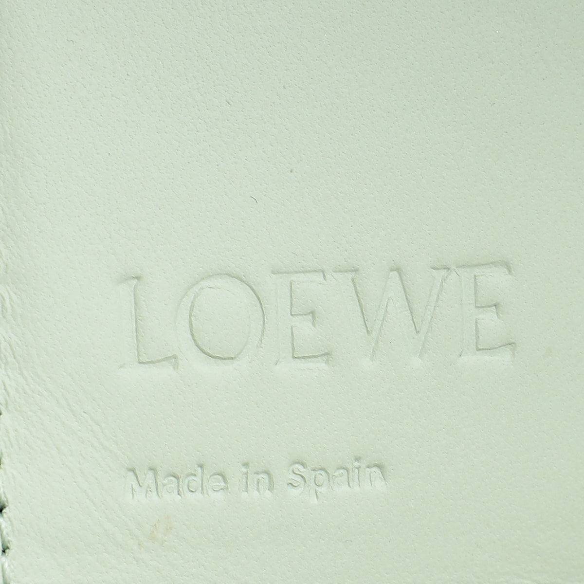 Loewe Aqua Green Anagram Small Vertical Wallet