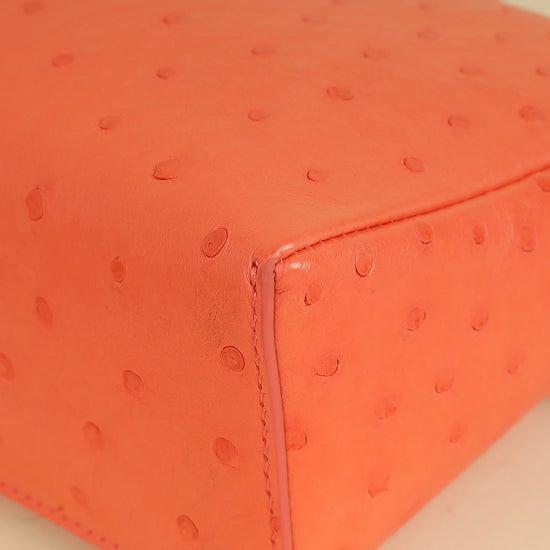 Loro Piana Orange Ostrich Extra Pocket L19 Bag