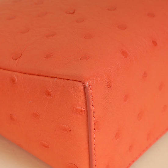 Loro Piana Orange Ostrich Extra Pocket L19 Bag