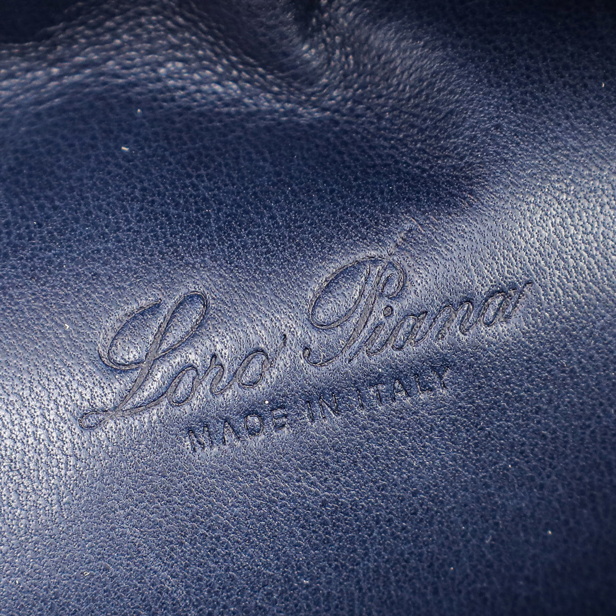 Loro Piana Blue Ostrich L19 Pouch-Loro Piana-THE CLOSET