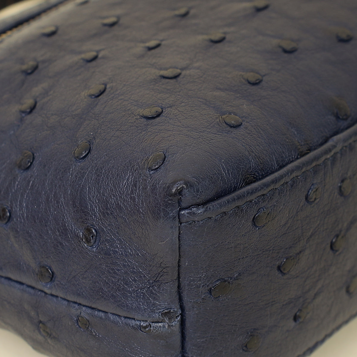 Loro Piana Blue Ostrich L19 Pouch-Loro Piana-THE CLOSET